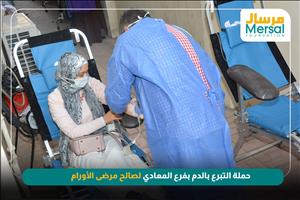 حملة التبرع بالدم - فرع المعادي - 8